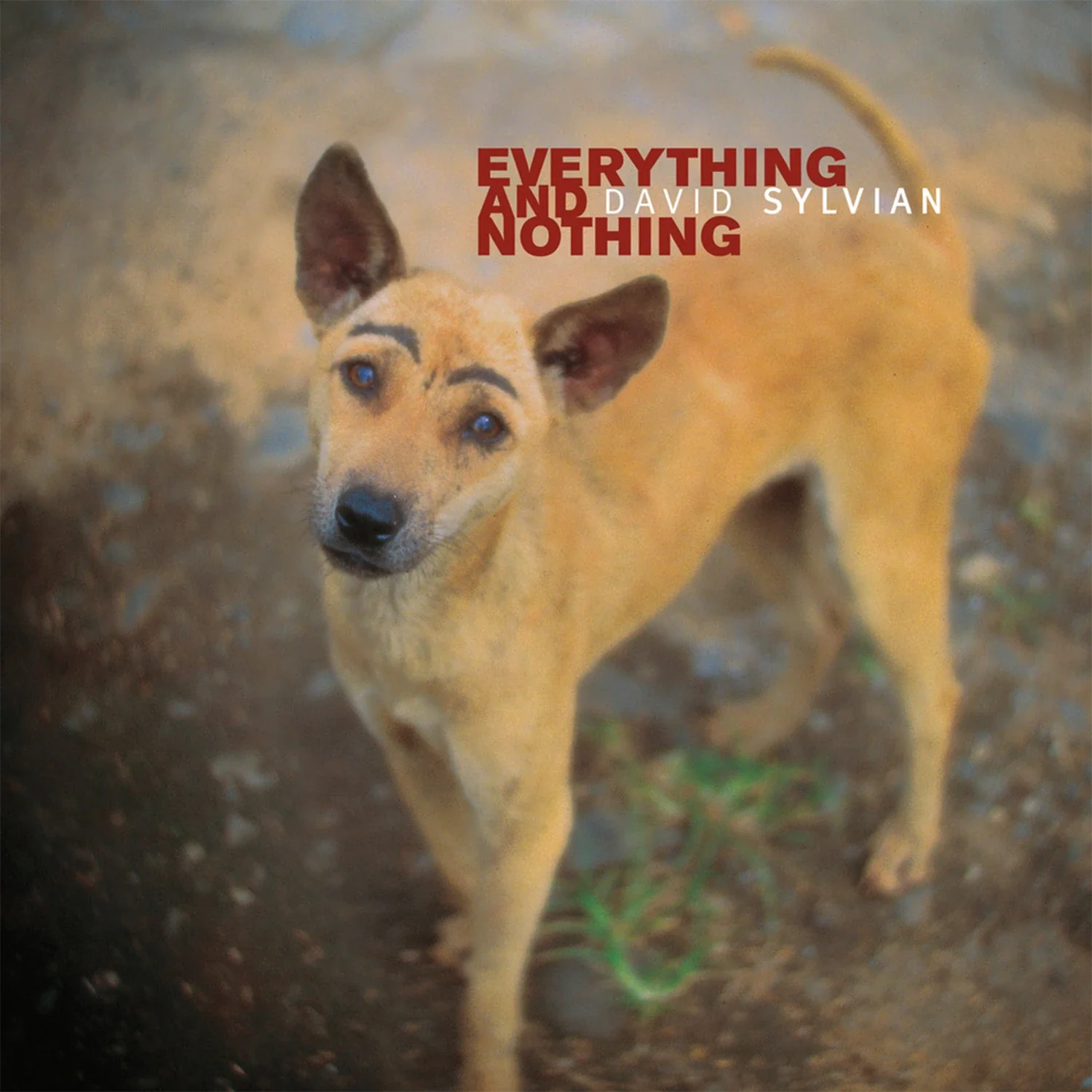 Productafbeelding 3
